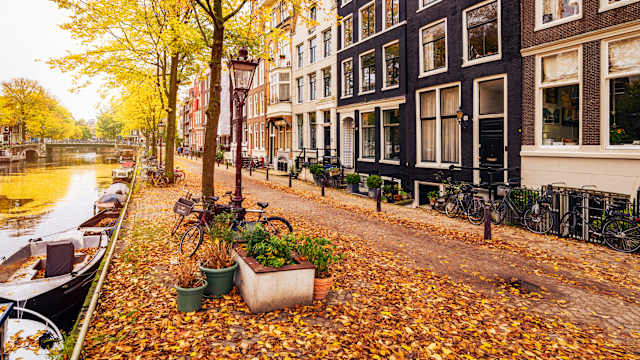 Eine Straße in Amsterdam am Kanal, mit Herbstlaub bedeckt.