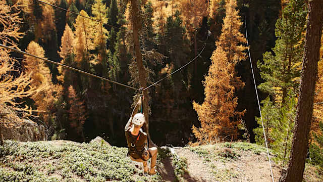 Eine Frau hängt an einer Zipline über einem Wald.