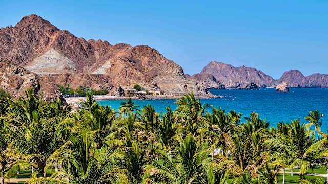 Blick auf einen palmengesäumten Strand im Oman.