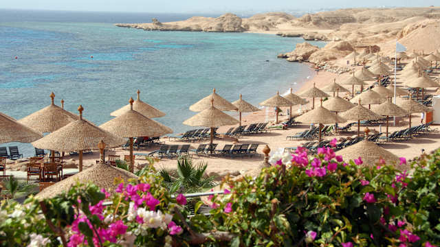 Strand mit Sonnenschirmen und blühenden Bougainvillea bei Sharm el-Sheikh, Rotes Meer, Ägypten. © brytta via Getty Images