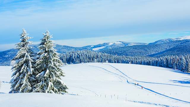 Winterlandschaft am Schauinsland im Schwarzwald, in der Nähe von Feldberg, Deutschland. © PK-Photos via Getty Images