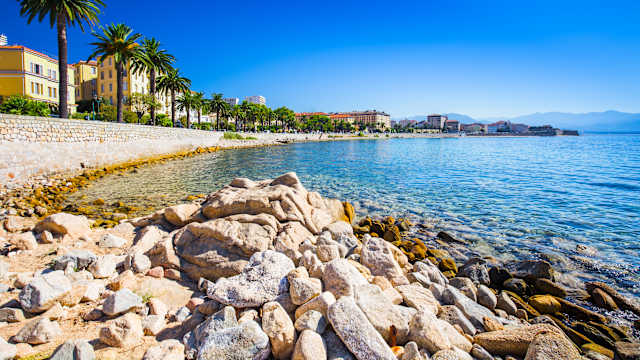 Eine Strandpromenade mit Palmen