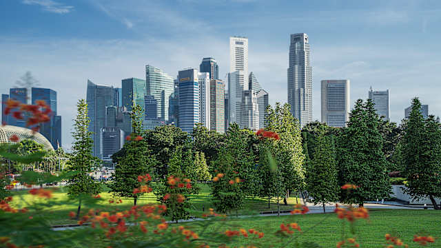 Skyline bei blauem Himmel  mit einem Park im Vordergrund