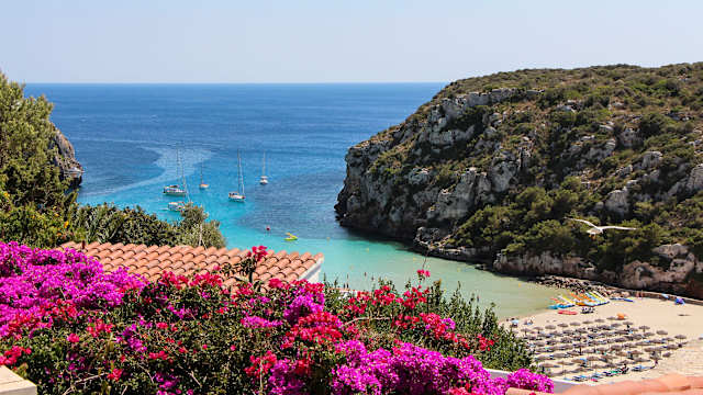 Blick auf einen Strand mit Blumen im Vordergrund