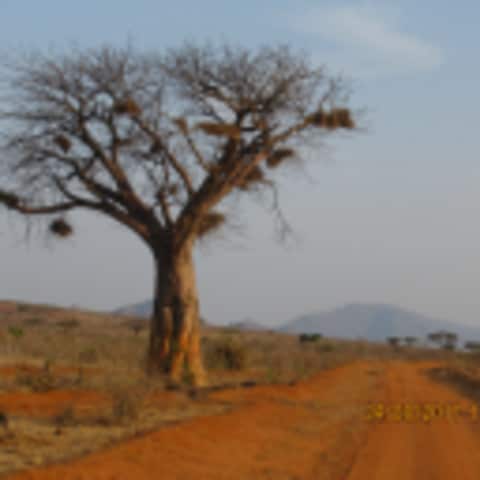 Fernweh 22
