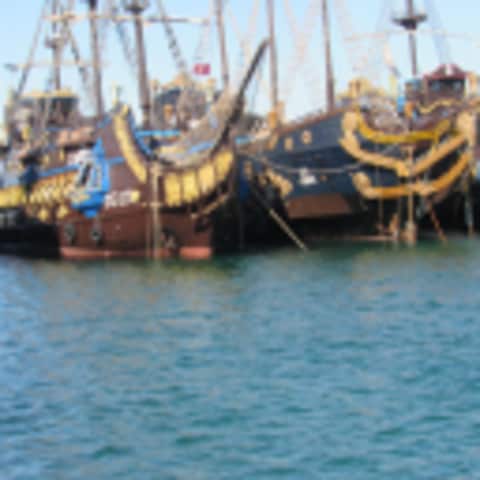 piri1