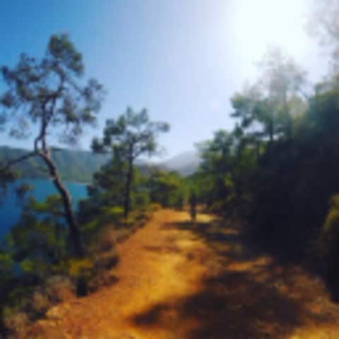 DanielClaudiaSchauer