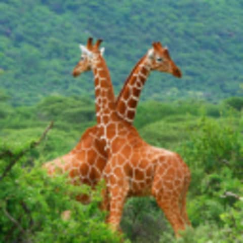 Southafricapackages