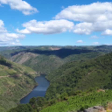 Enjoy the silence...