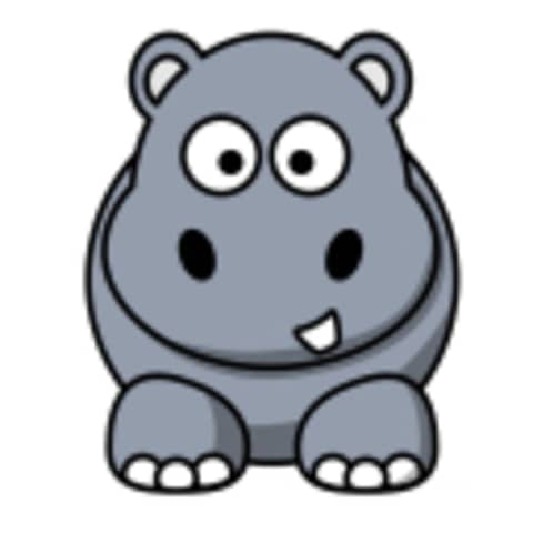 HippaHippo
