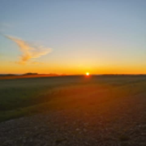 Sommermorgen1