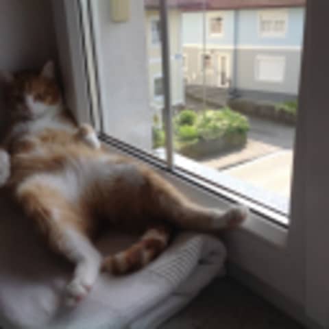 katiundberni