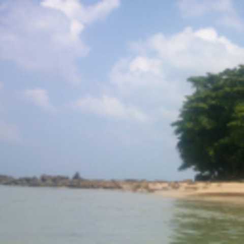 Mortrom