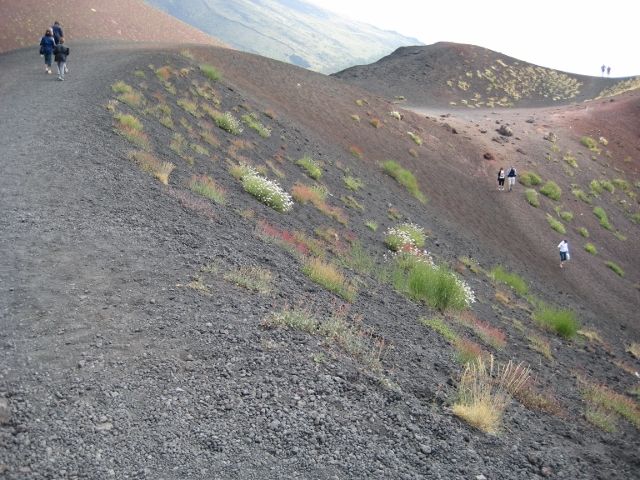 IMG_3173 (640x480).jpg