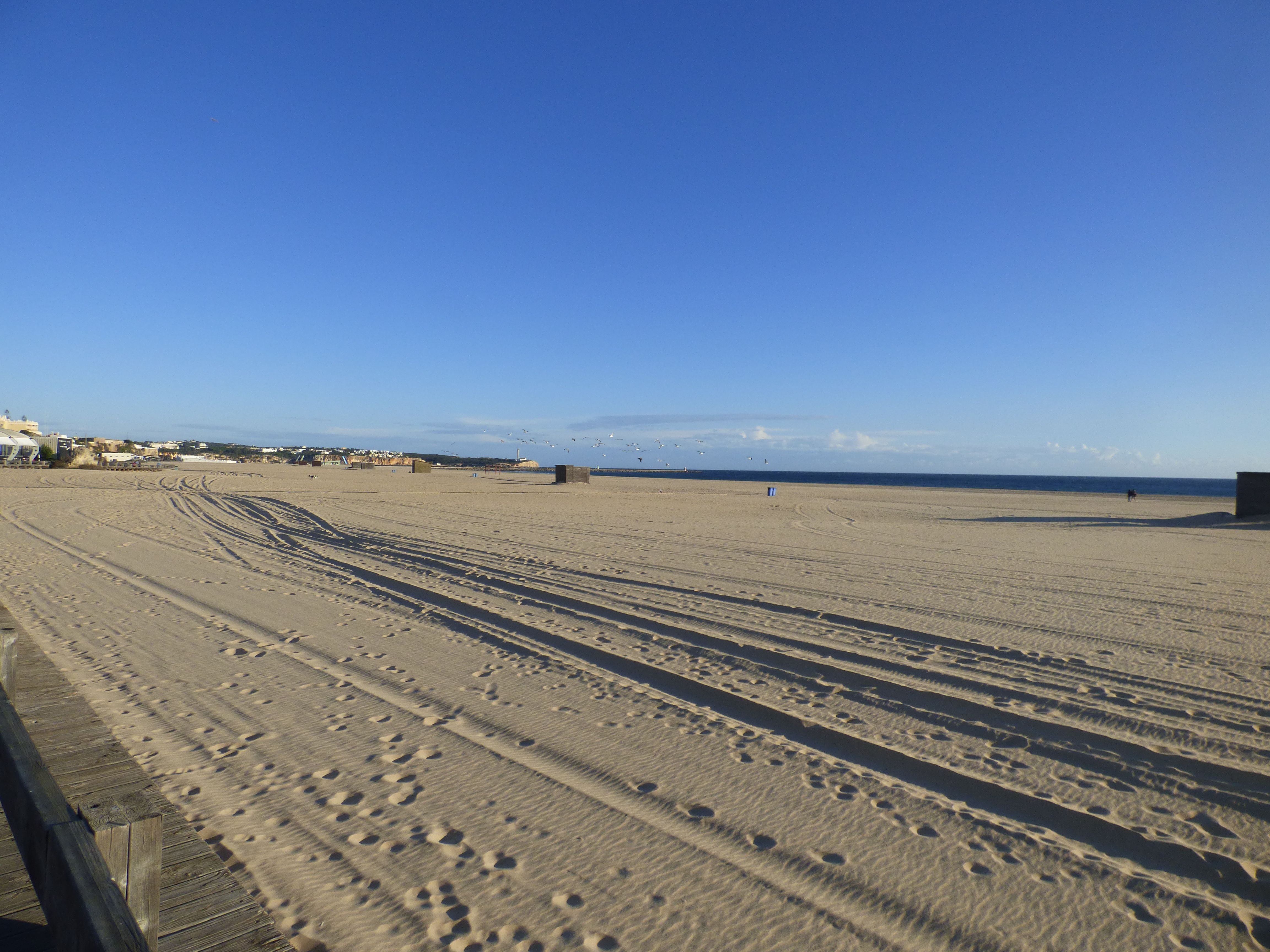 P1060384.JPG