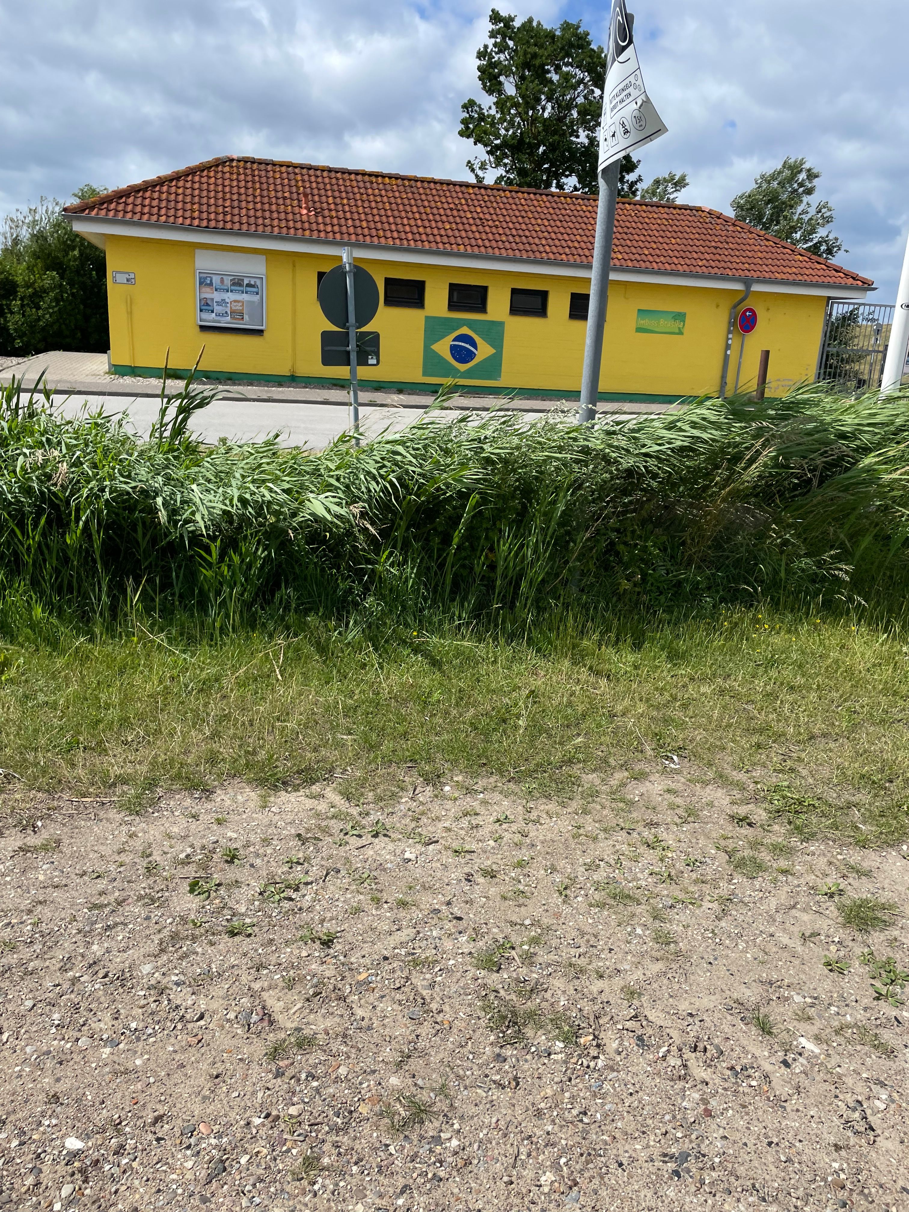 IMG_5266.jpeg