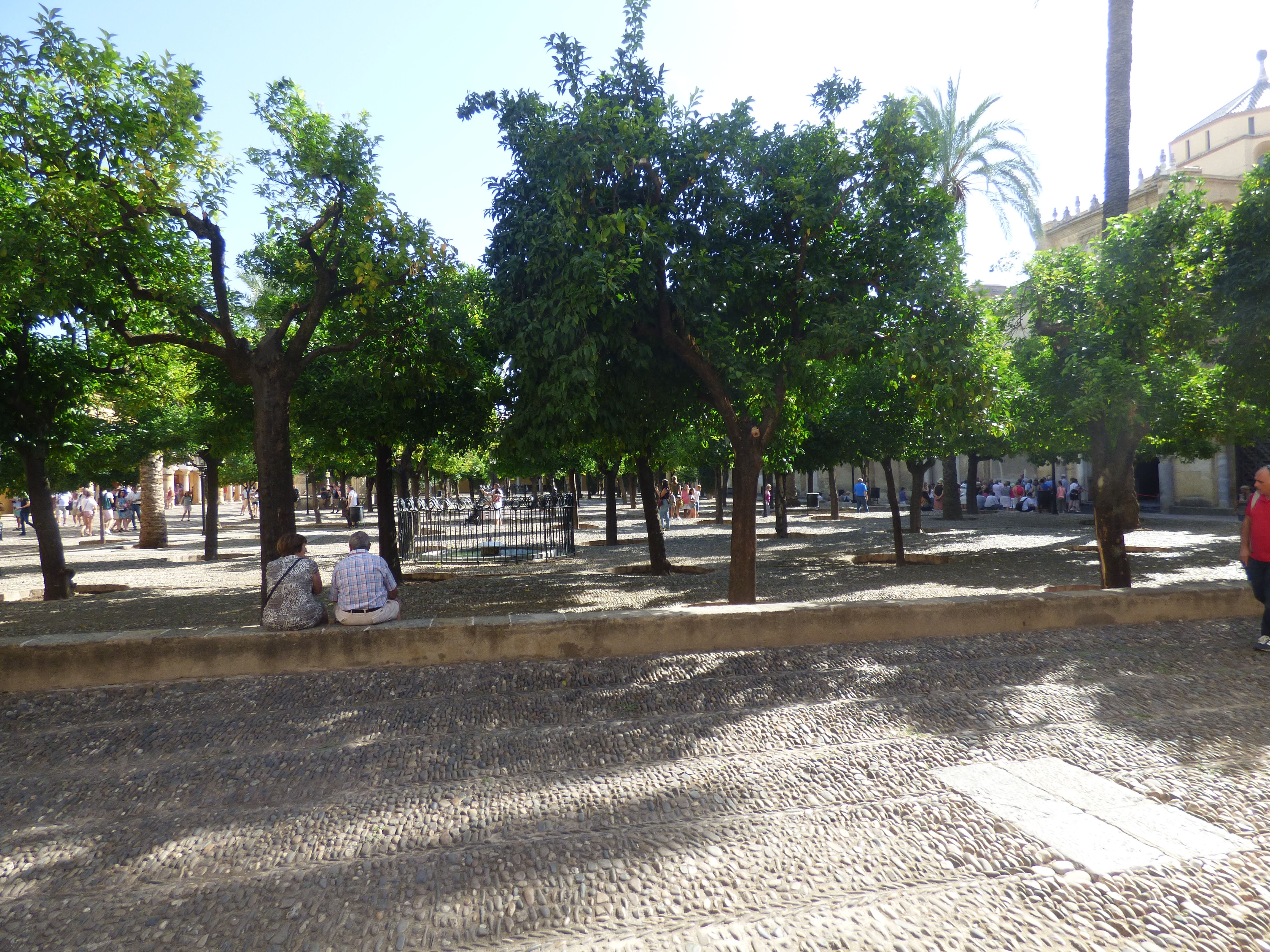 P1050014 - Kopie.JPG