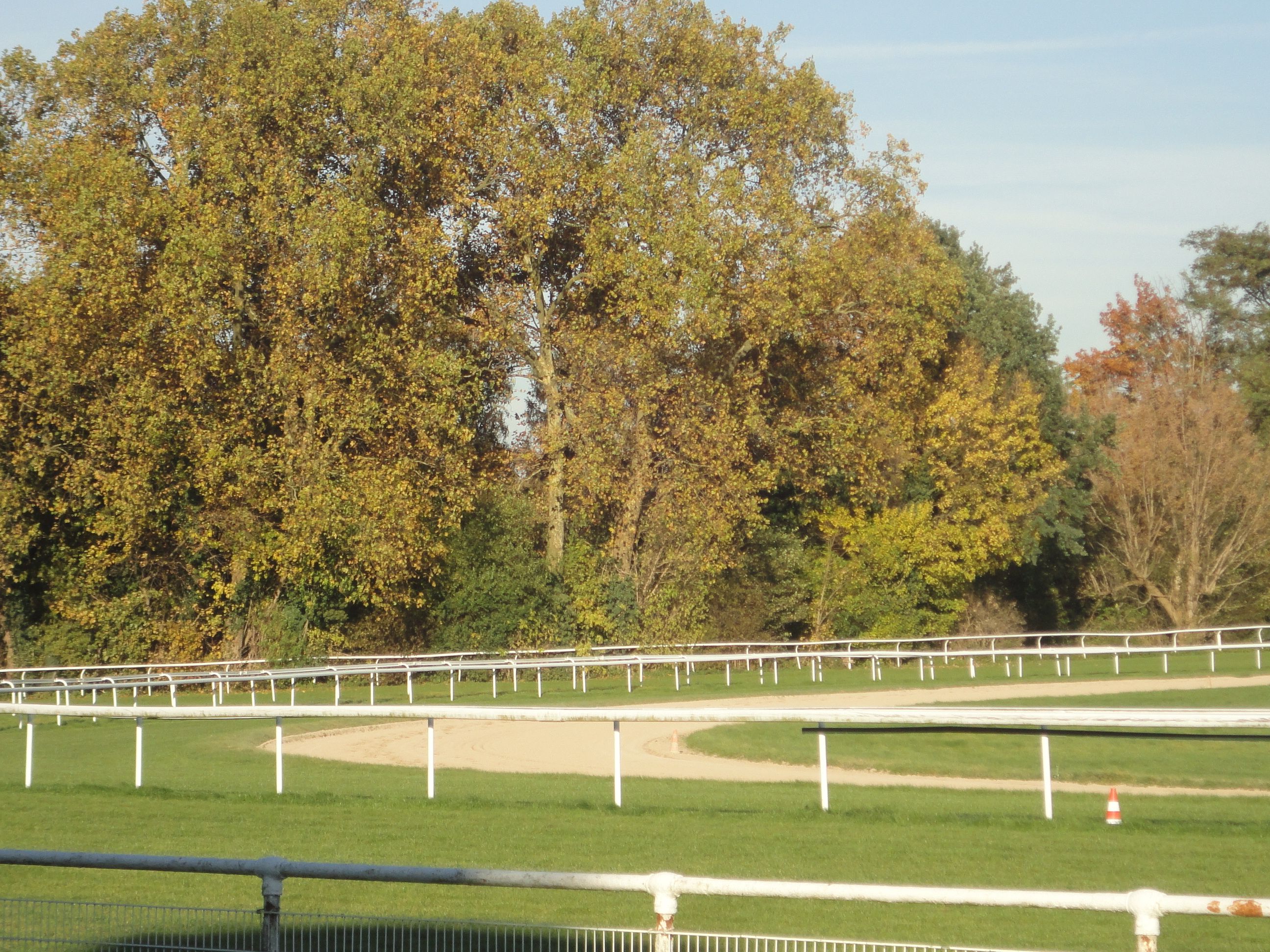 DSC05657 - Kopie.JPG