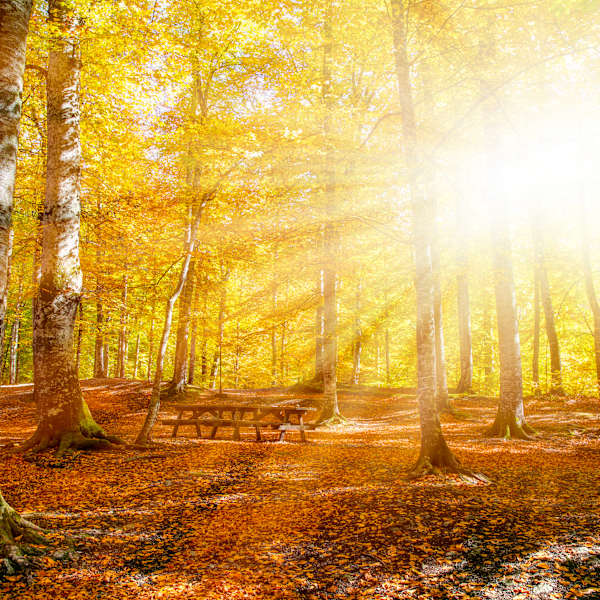 Urlaub im Herbst