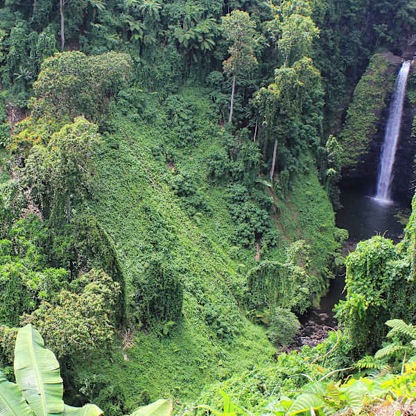 Waterfall at the end of a Valley in Western Samoa