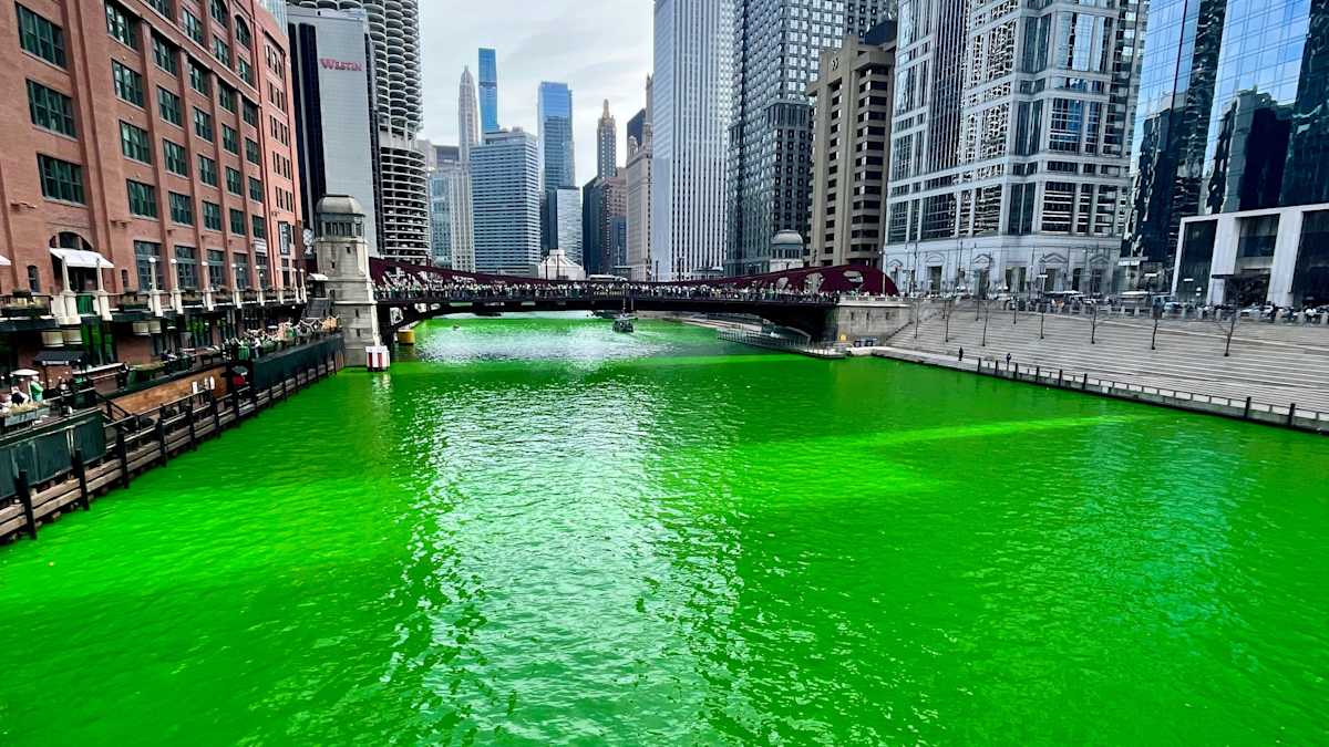 Haarreif St. Patrick's Day Mit Grünem Glücksklee, 24er Pack – Partyzubehör Für Irland-Feiern, Karneval & Kostüme