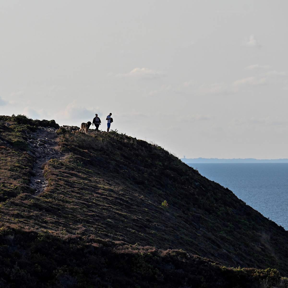 洋書 Hunde: Romantische Orte Frankreichs und Hunde: Romantische Orte Frankreichs und ihre Bewohner