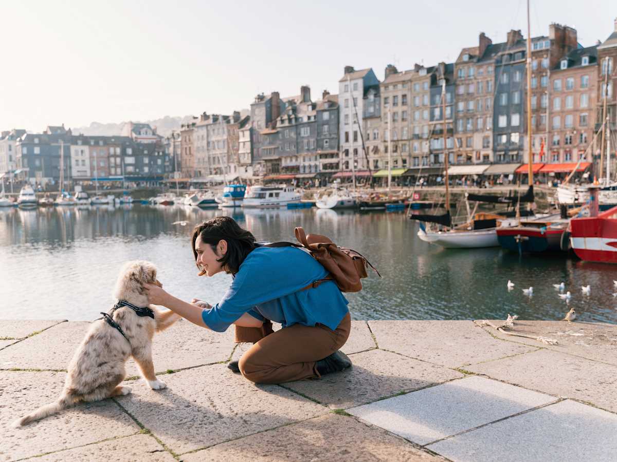 洋書 Hunde: Romantische Orte Frankreichs und Hunde: Romantische Orte Frankreichs und ihre Bewohner