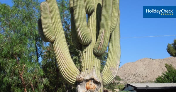 Hotel Travelodge Inn & Suites Yucca Valley (Yucca Valley