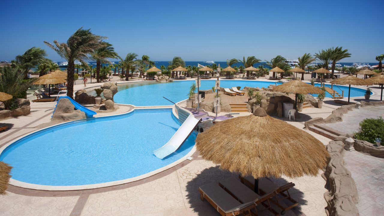 Lotus bay safaga туры