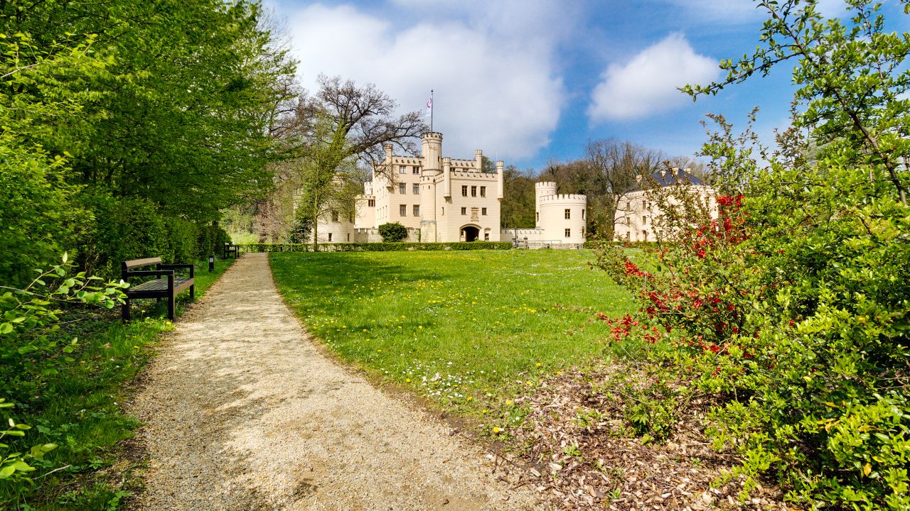 Singlebörse kostenlos test bonn