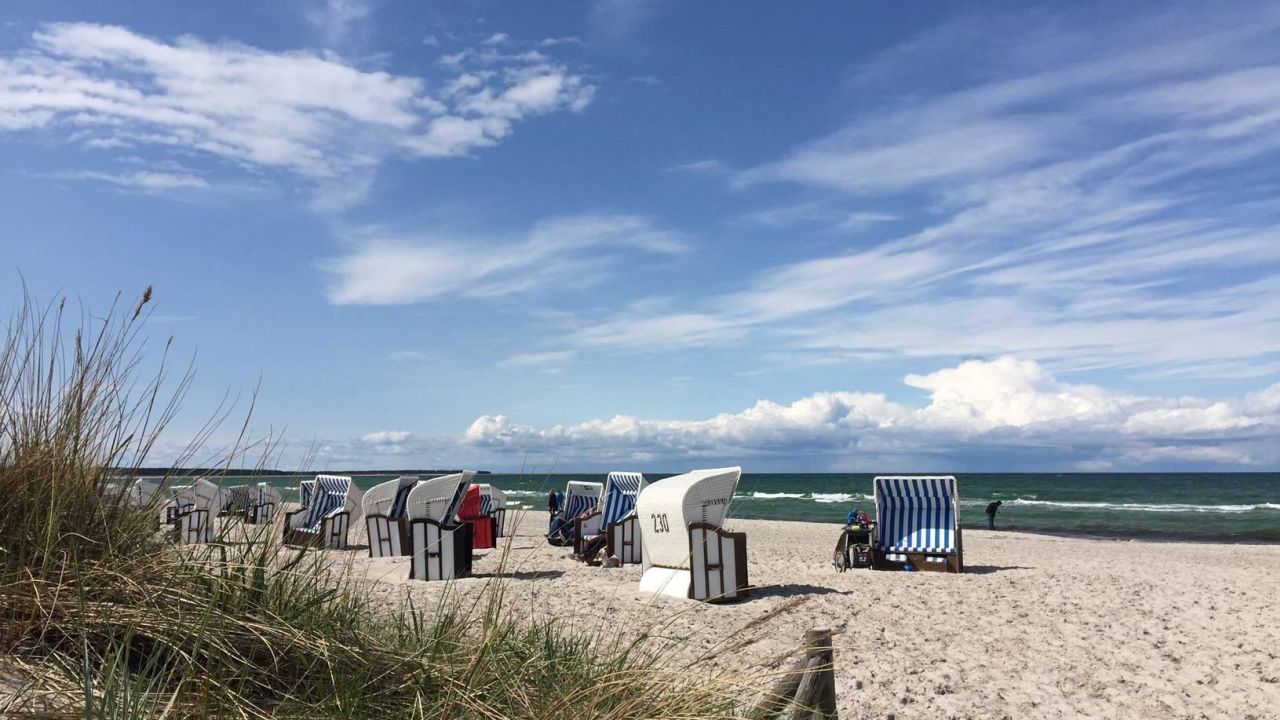 1ae5f06f 0ca0 3129 a8e7 d9c338c0fe7b