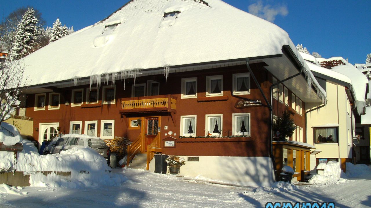 Ferienwohnungen Haus Bergschuh Todtnauberg Holidaycheck Baden