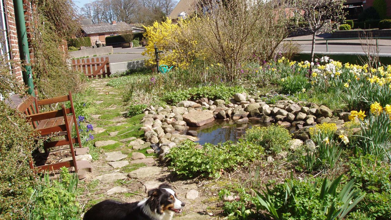 Ferienwohnung Nindorf Nindorf Holidaycheck Schleswig Holstein Deutschland