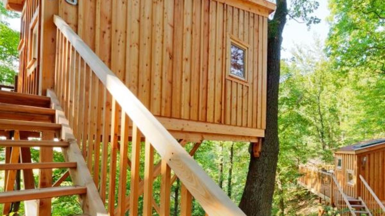 Verwunderlich Baumhaushotel Hessen Spessart Bilder