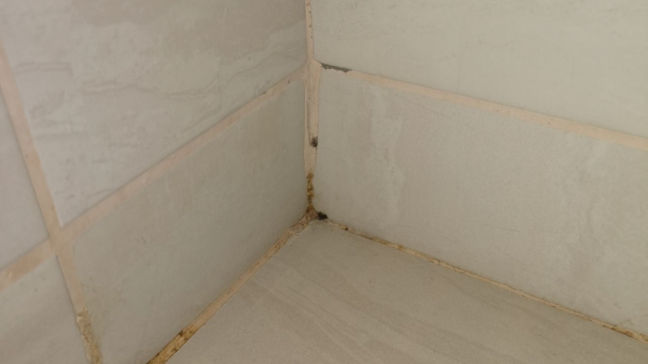 Elite world istanbul halkalı