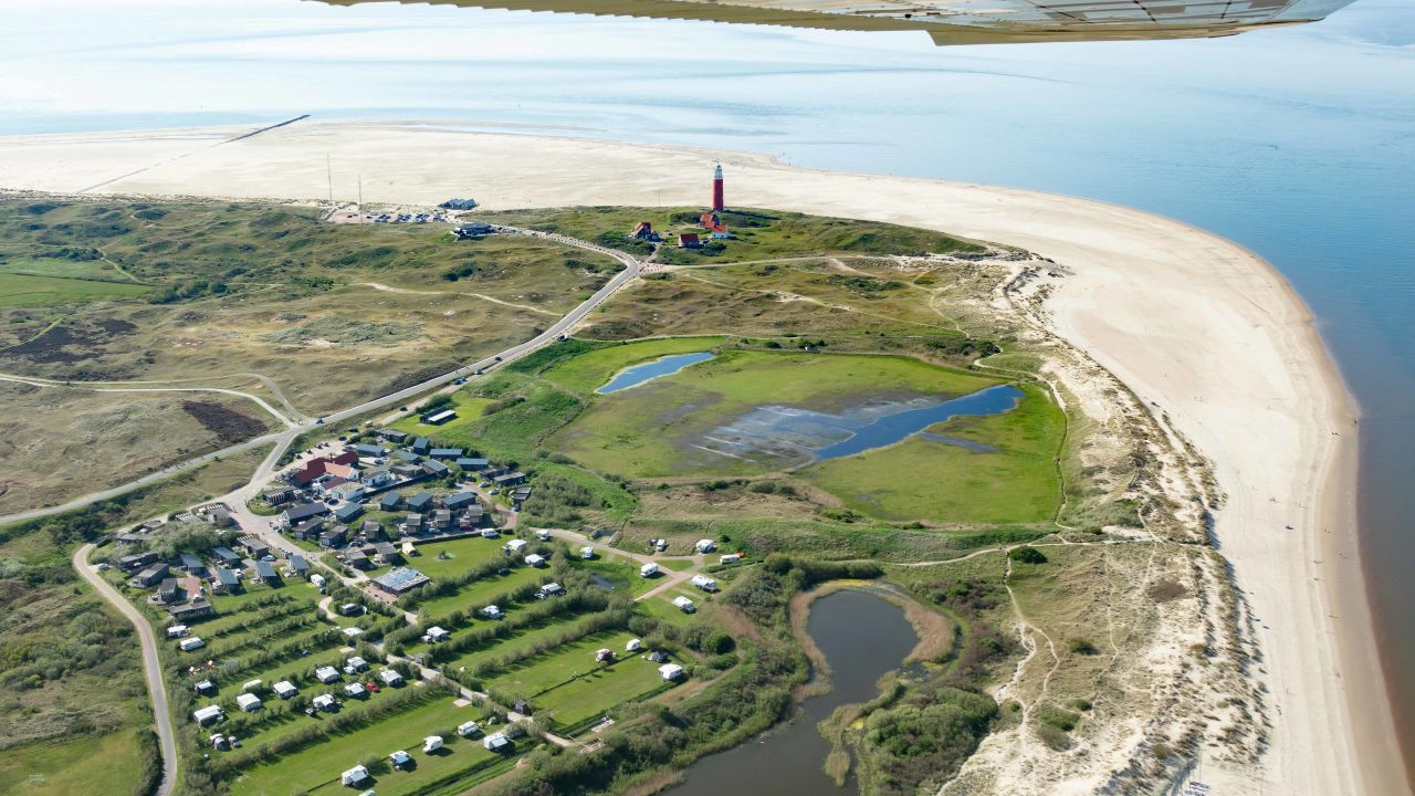  isla Texel, es también un municipio de los Países Bajos (Holanda), hogar donde se surgen los ovinos de raza texel