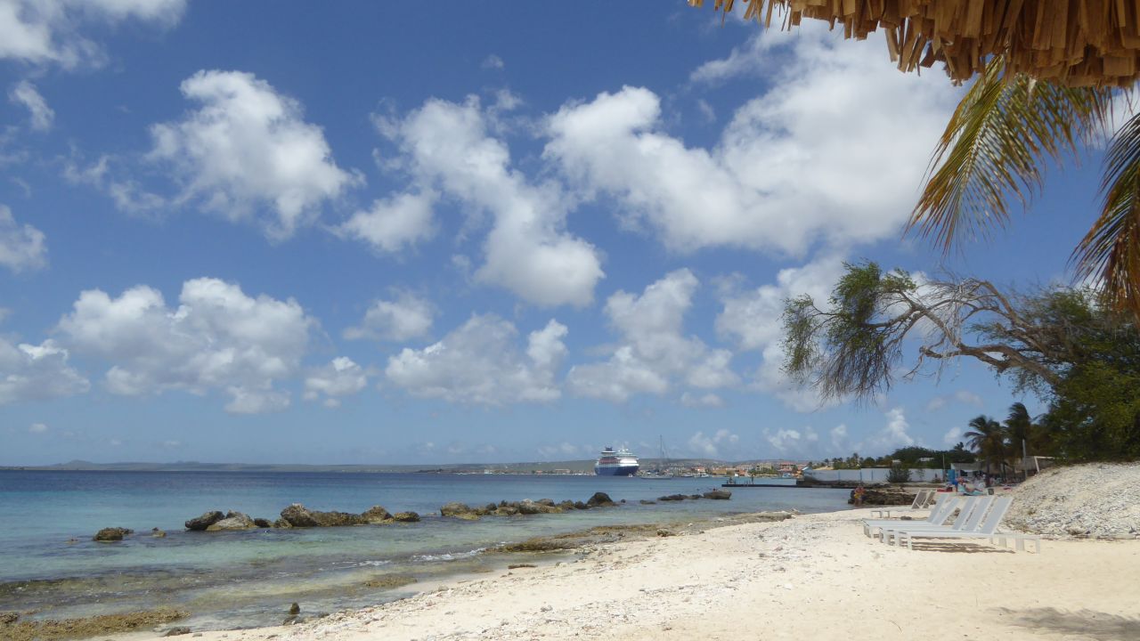 Das Plaza Resort Bonaire ist ein 4* Hotel und kann jetzt ab 2346€ gebucht werden