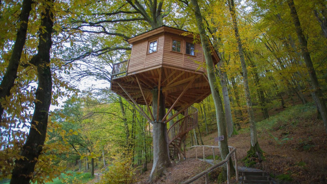 Baumhaushotel Seemuhle Grafendorf Holidaycheck Bayern Deutschland