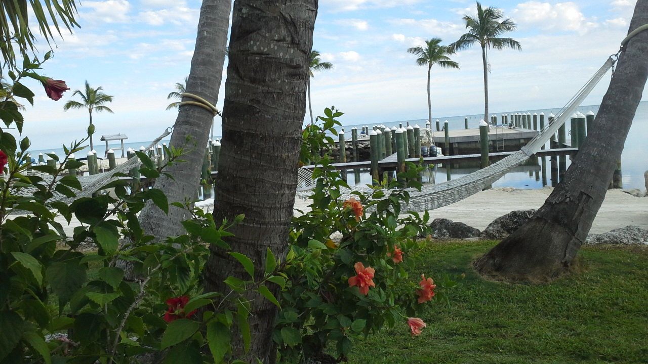 Hotel La Siesta Resort And Marina Islamorada • Holidaycheck Florida Usa