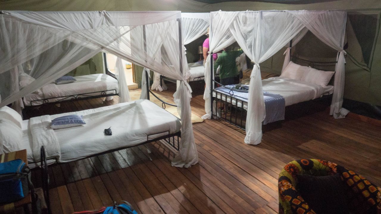 Ngorongoro Wild Camp (Ngorongoro) • HolidayCheck (Sonstiges Tansania ...