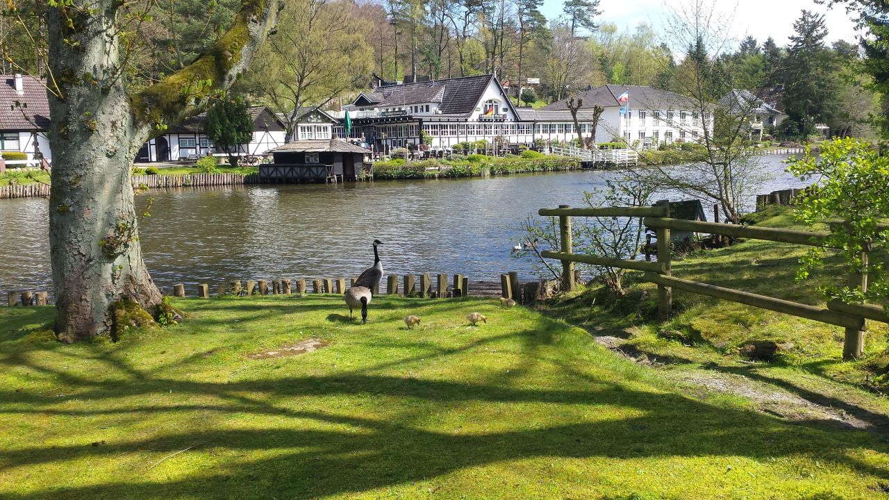 Hotel Forsthaus Seebergen (Lütjensee) • HolidayCheck (Schleswig