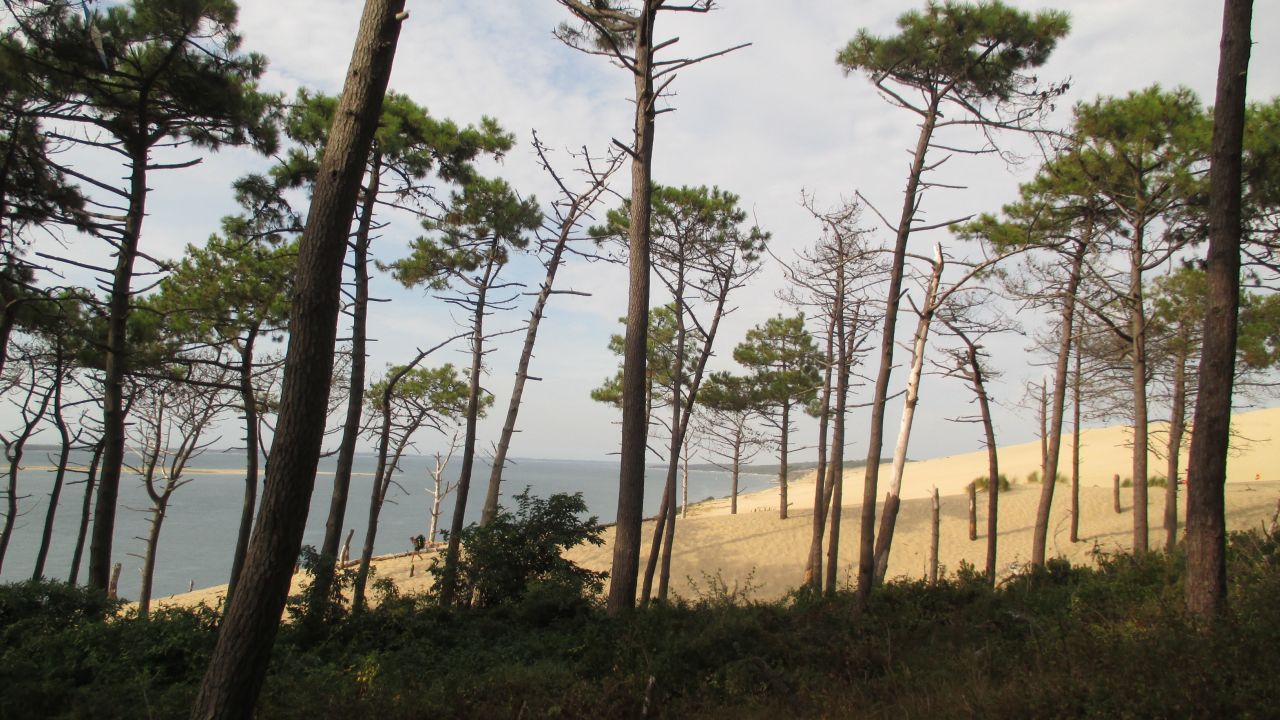 Camping Village Panorama Du Pyla Pyla Sur Mer Holidaycheck Frankreich Atlantikkuste Frankreich