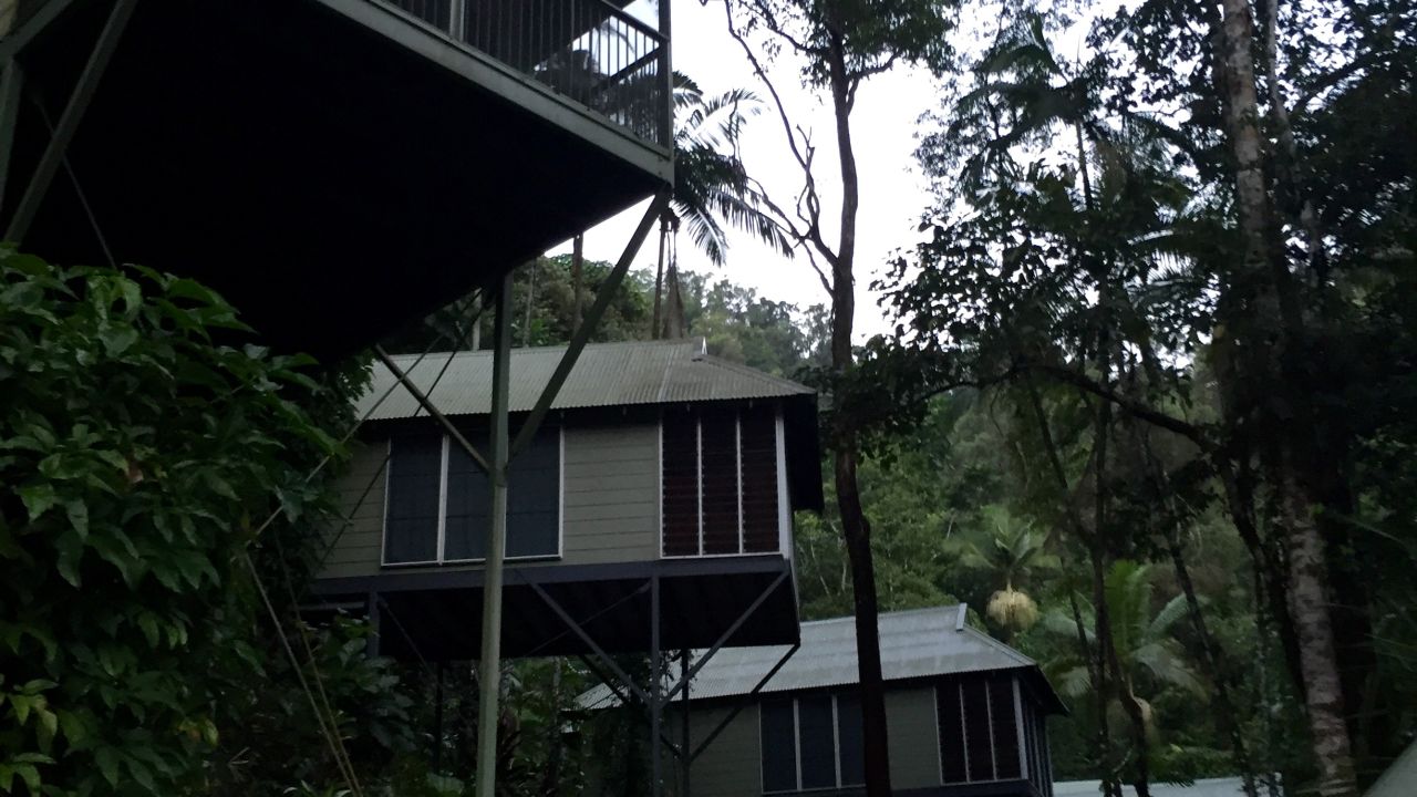 Hotel Daintree Eco Lodge & Spa (Wonga) • HolidayCheck (Queensland