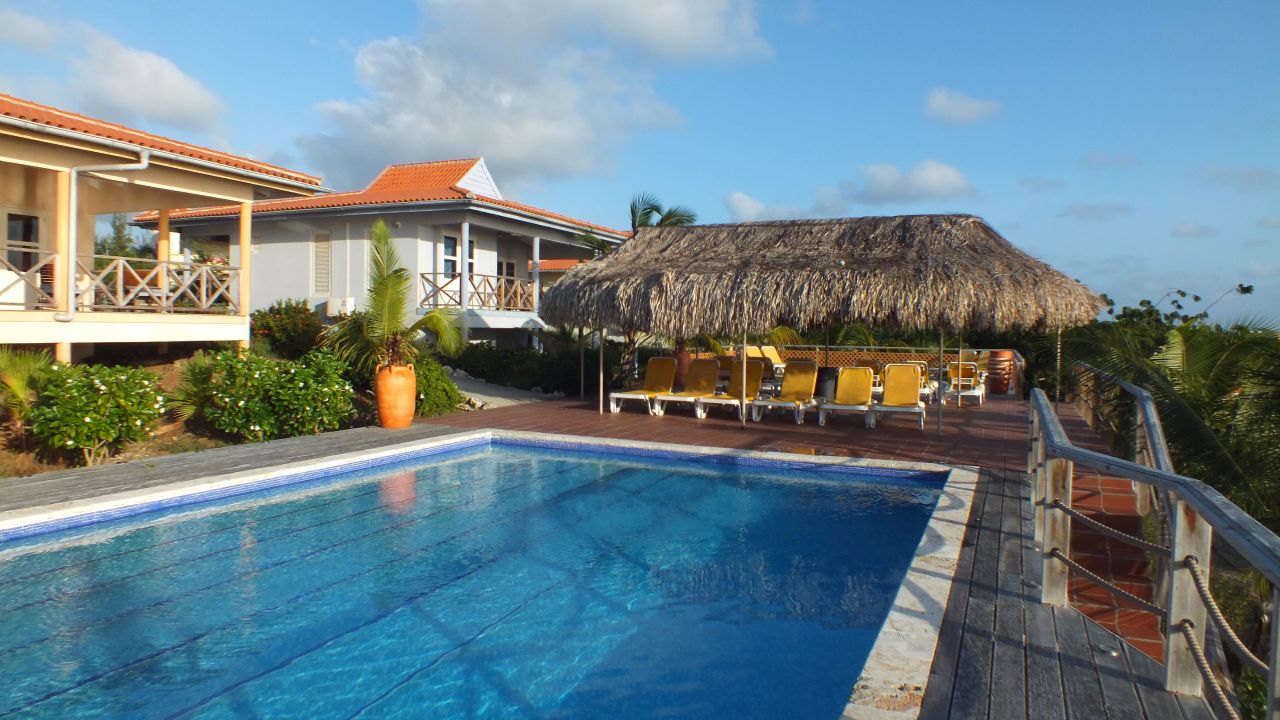 Hotel Caribbean Club Bonaire (Kralendijk) • HolidayCheck (Bonaire