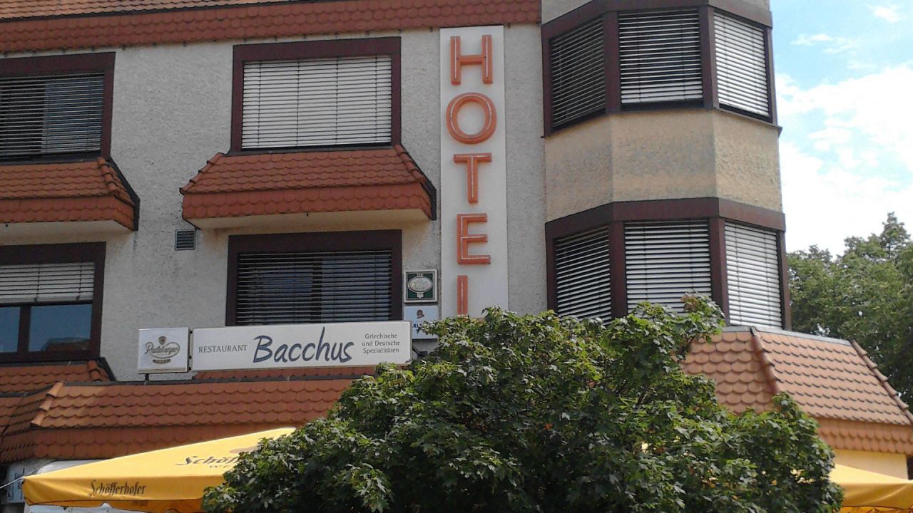 vogelpark rheinland pfalz