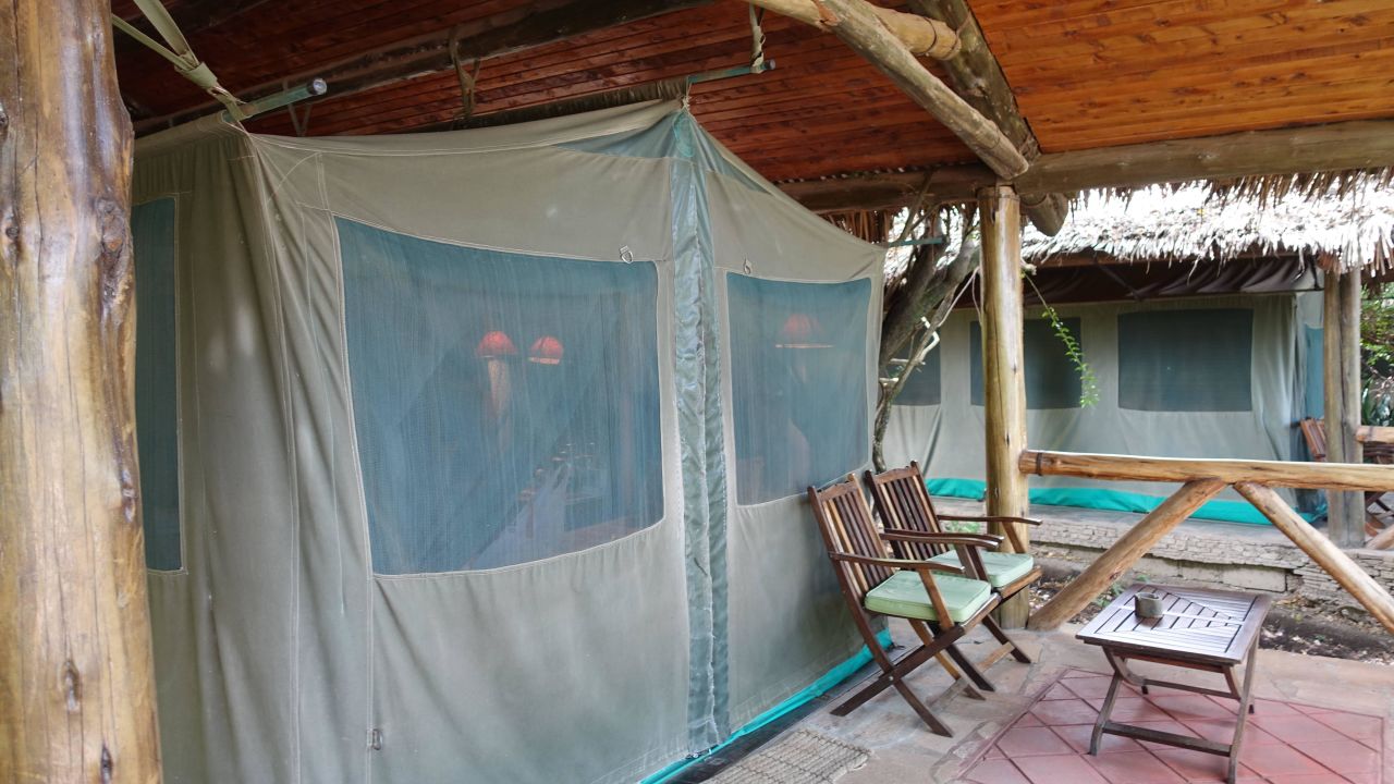 Fig Tree Camp Maasai Mara (Masai Mara) • HolidayCheck (Provinz Rift