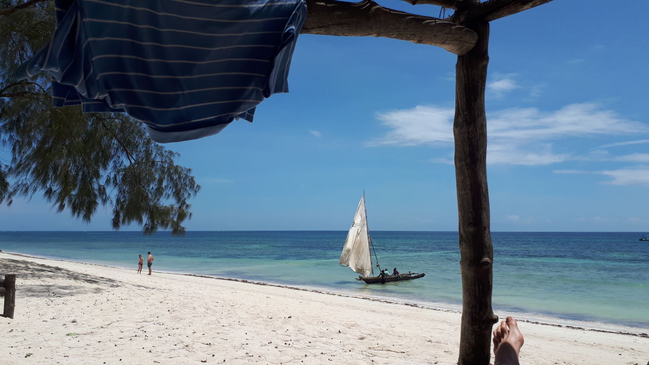 Cottages Rooms Kinondo Kwetu Diani Beach Holidaycheck