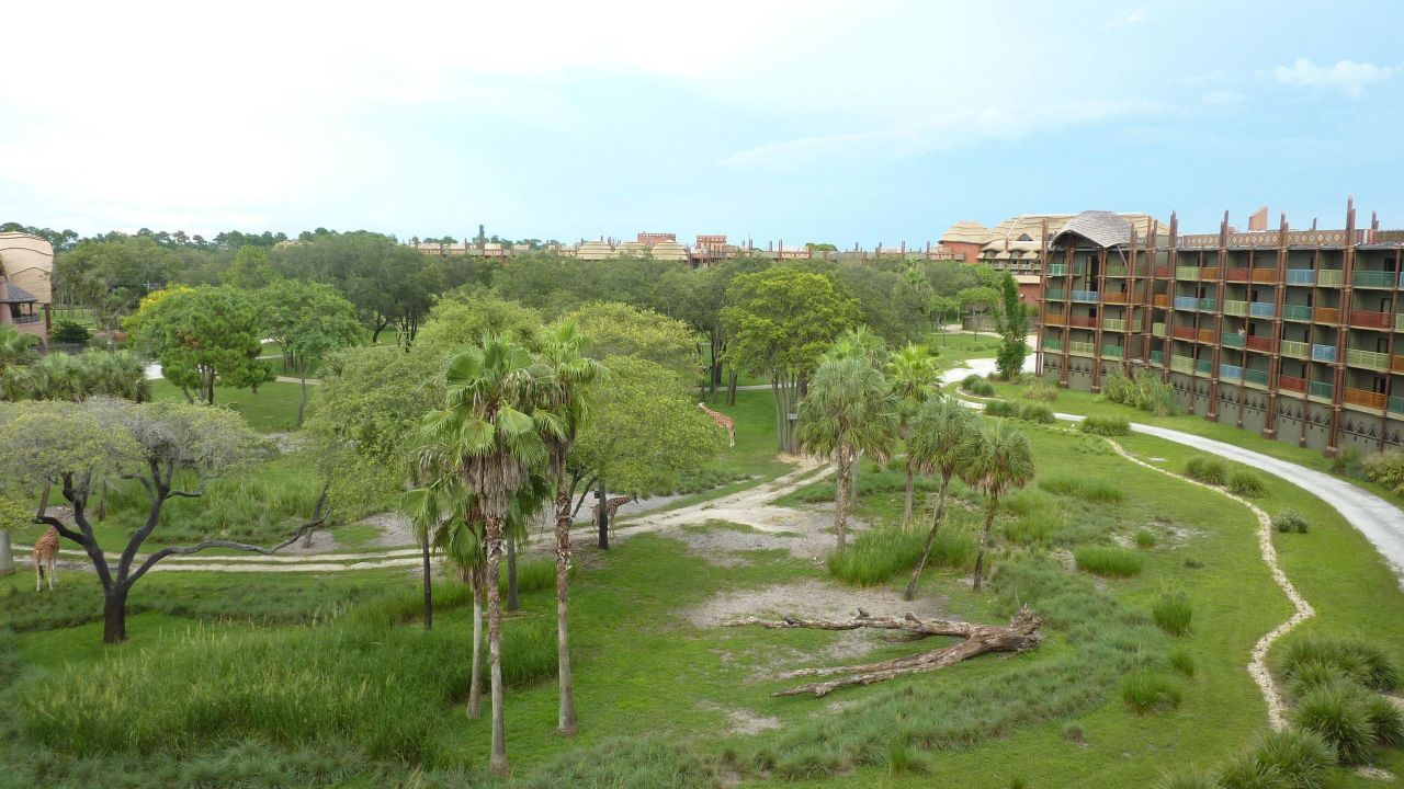 Disney S Animal Kingdom Villas Kidani Village Lake Buena