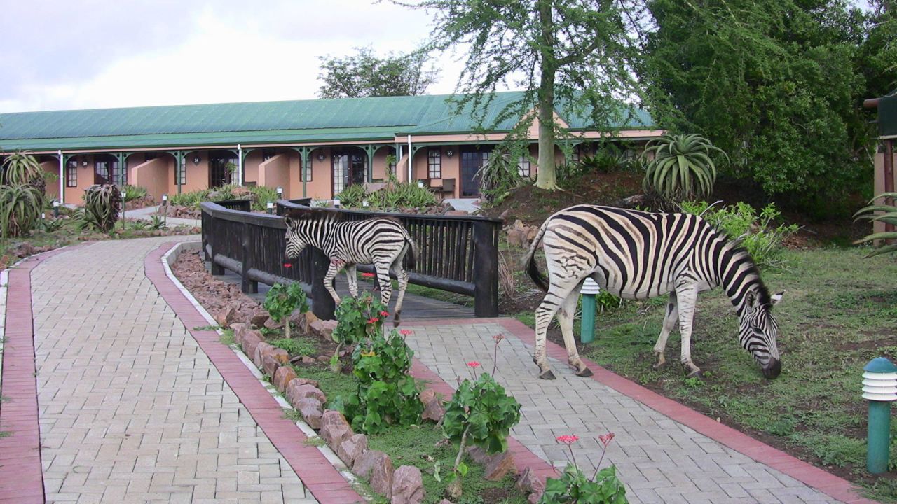 zulu nyala safari lodge