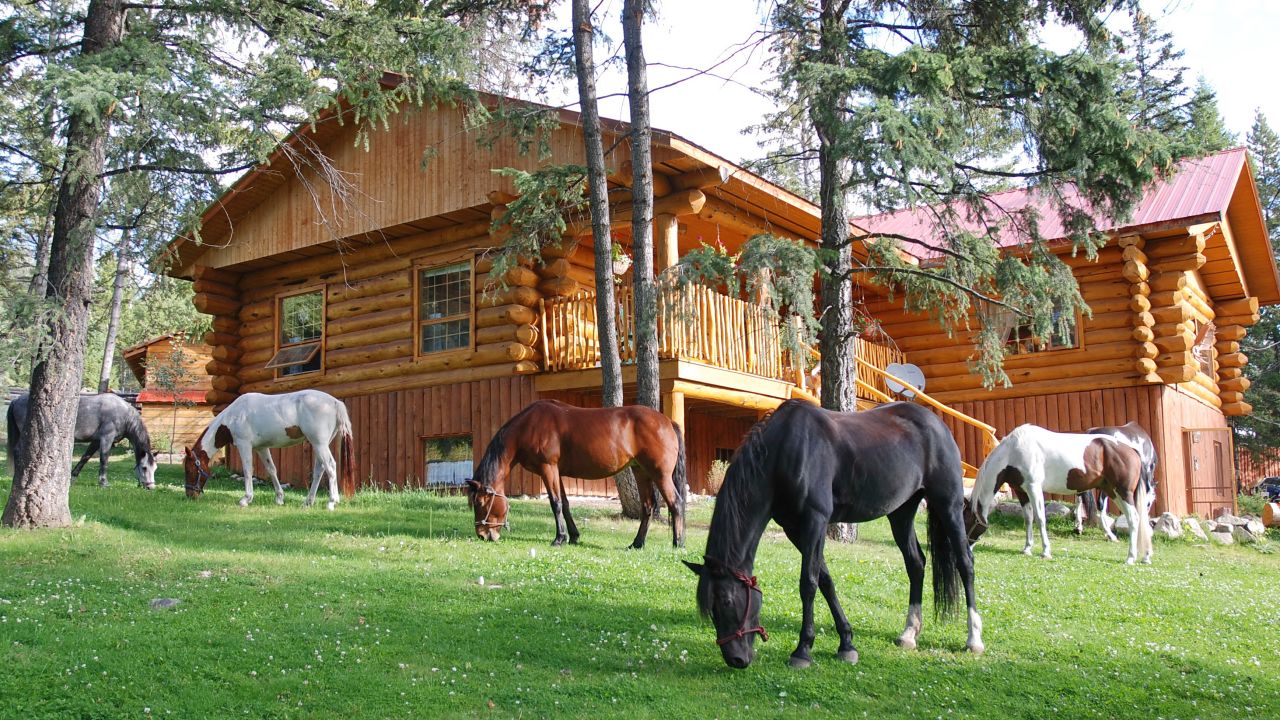 Beaver Guest Ranch Bridge Lake Holidaycheck British Columbia